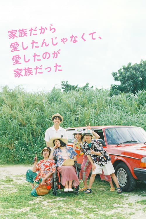 I Didn't Love You Because I Was a Family, But I Loved You as a Family poster