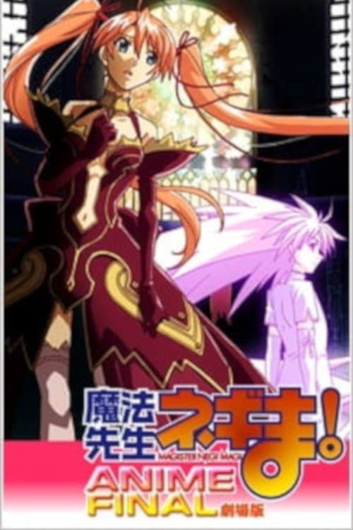 Magister Negi Magi: Anime Final (2011) poster