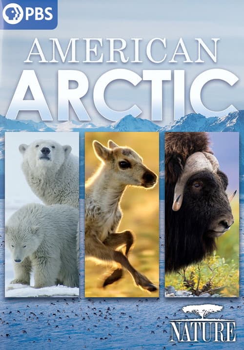 American Arctic (2022) poster