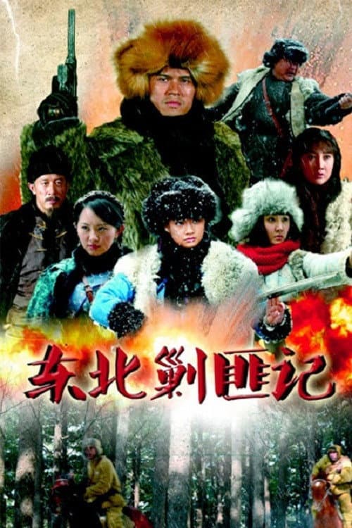 东北剿匪记 (2013) poster