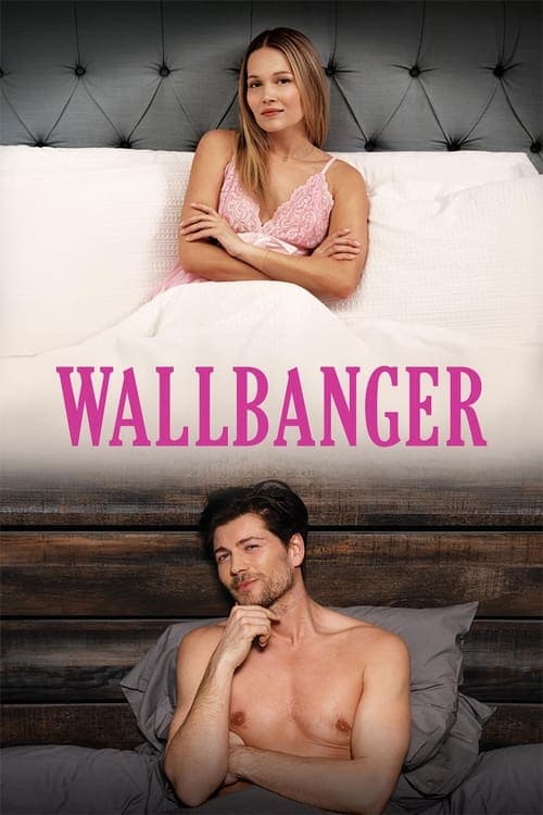 Wallbanger (2024) poster