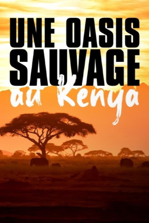 Once Upon a Time in Tsavo (2023) poster
