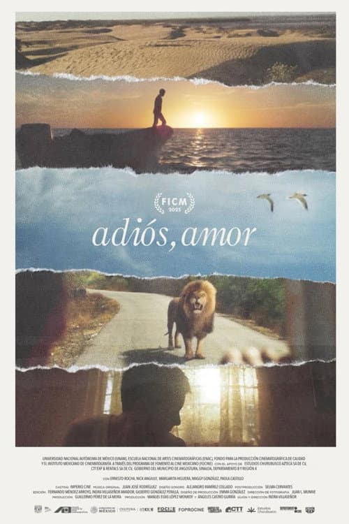 Goodbye, Love (2025) poster