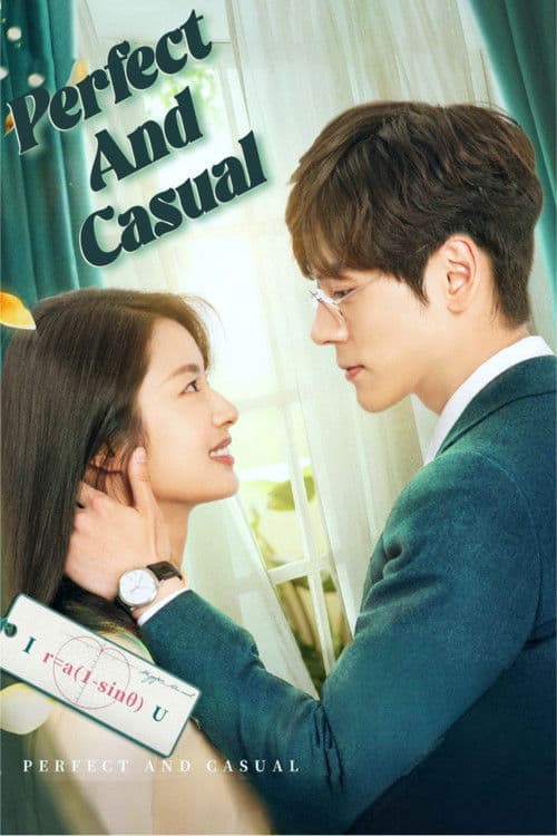 Perfect and Casual (2020) poster