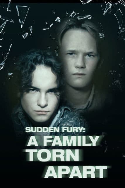 Sudden Fury (1993) poster