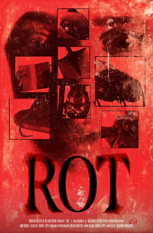 ROT (2024) poster