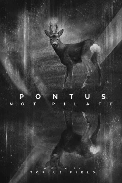 Pontus not Pilate poster