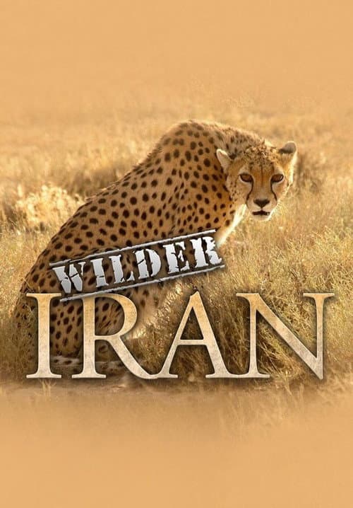 Wild Iran (2012) poster