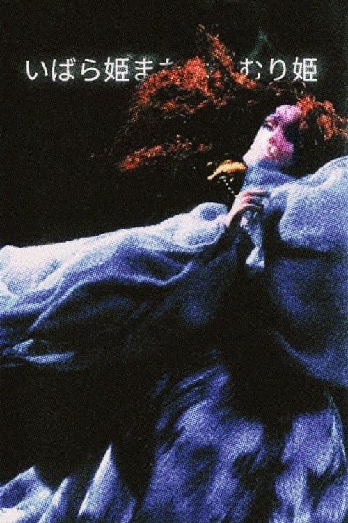 Briar-Rose or the Sleeping Beauty (1990) poster