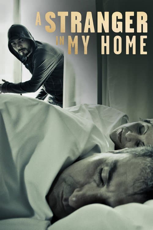 A Stranger in My Home (2013) poster