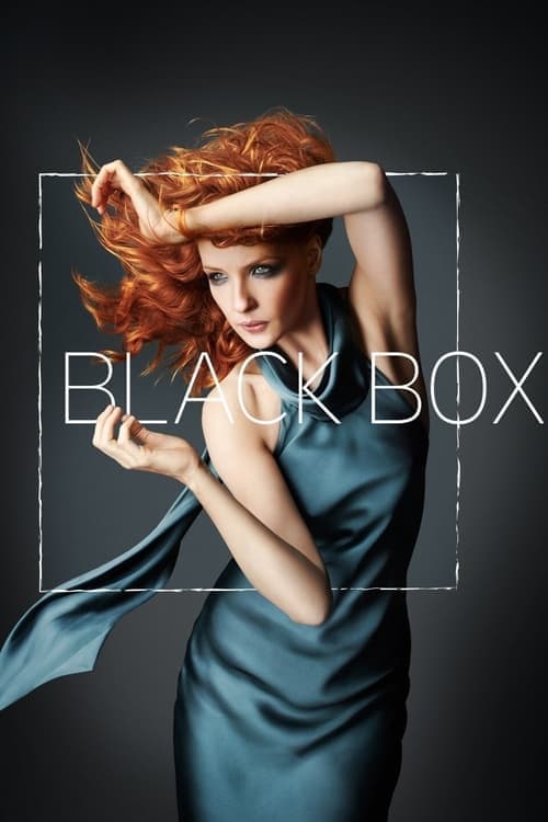 Black Box (2014) poster