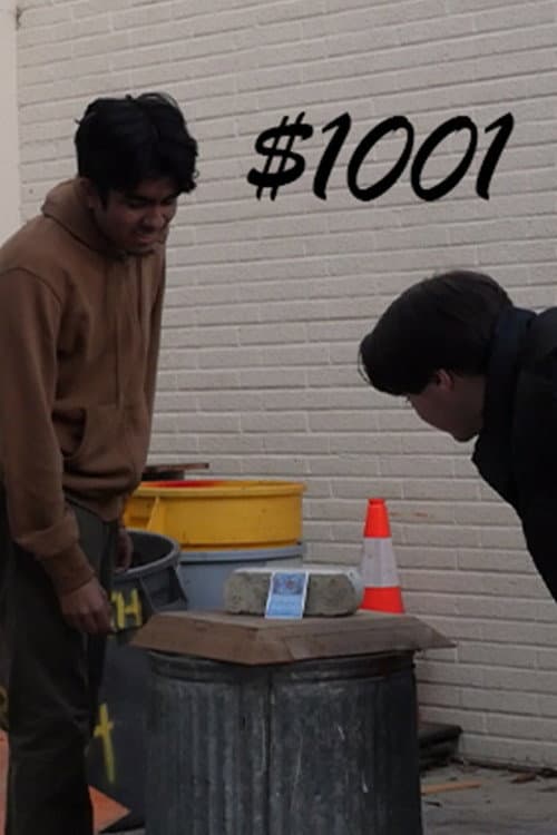 $1001 poster