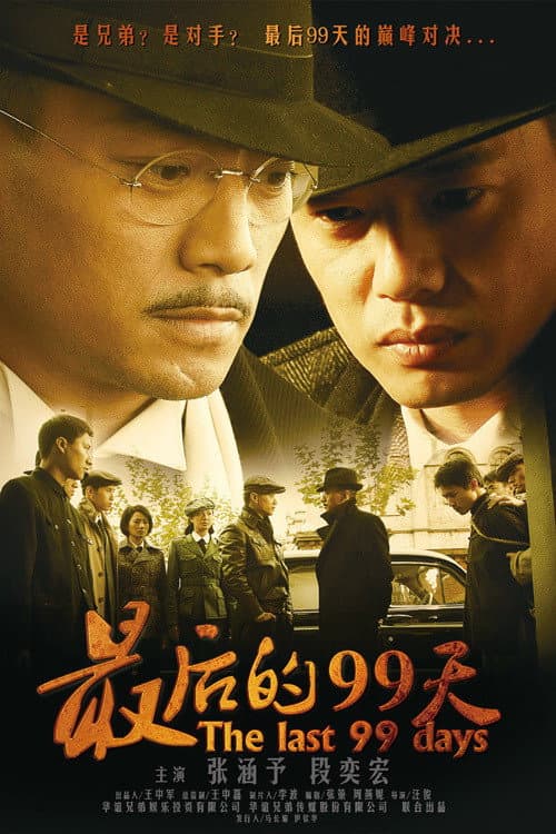 最后的99天 (2009) poster