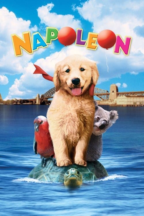 Napoleon (1995) poster