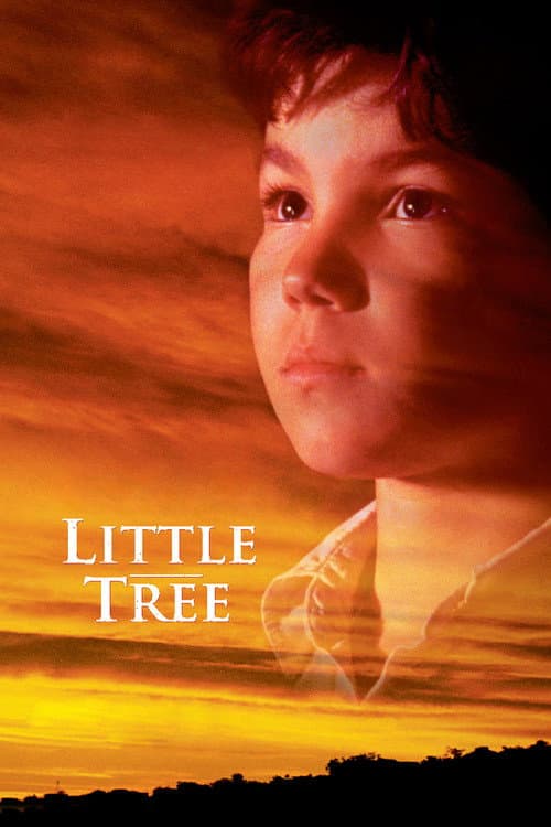 The Education of Little Tree (1997) poster