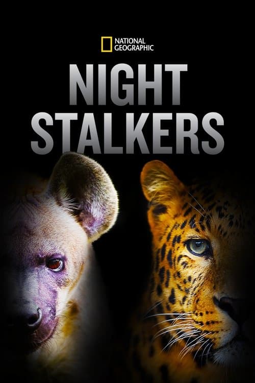 Night Stalkers (2011) poster