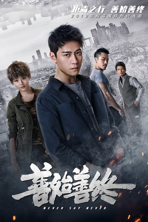 Never Say Never (2019) poster