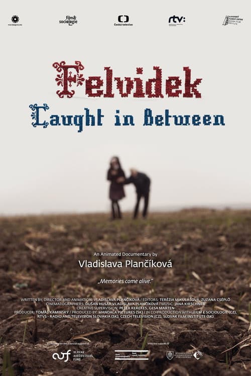 Felvidek – Caught in Between (2014) poster