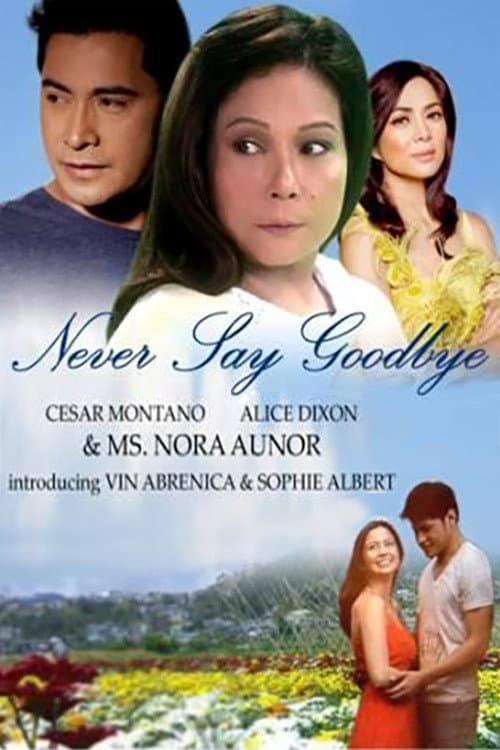 Never Say Goodbye (2013) poster