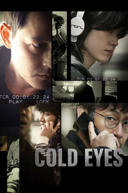 Cold Eyes (2013) poster