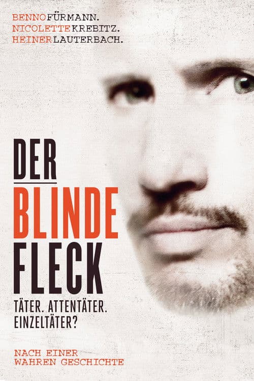 The Blind Spot (2013) poster