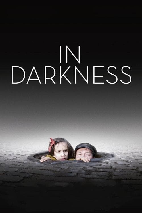 In Darkness (2011) poster
