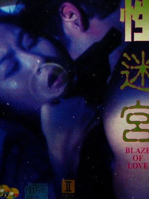 Blaze of Love (1994) poster