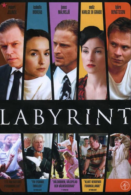 Labyrint (2007) poster