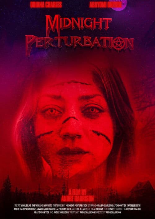 Midnight Perturbation (2025) poster