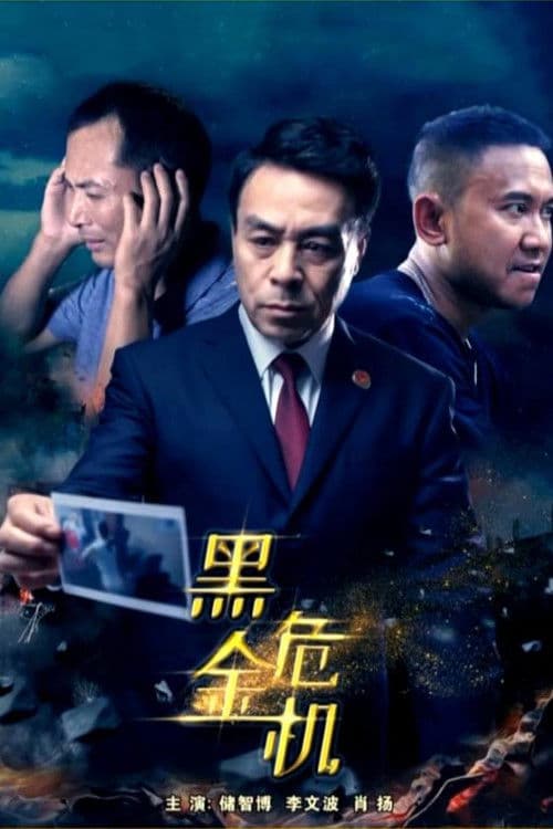Black Crisis (2018) poster