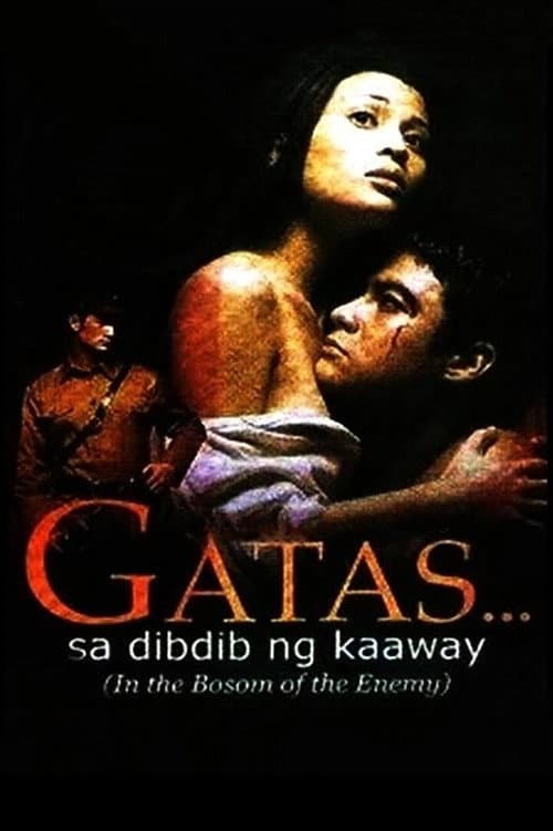 In the Bosom of the Enemy (2001) poster