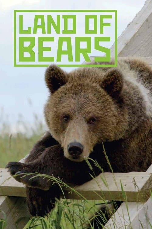 Land of Bears (2019) poster