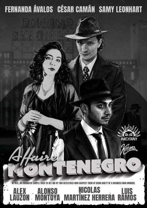 The Montenegro Affair (2026) poster
