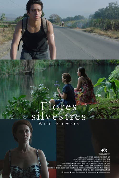 Wild Flowers (2015) poster