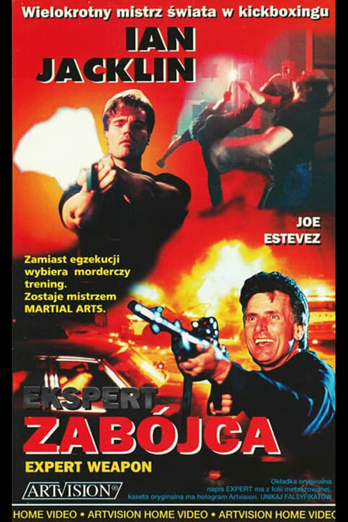 Expert Weapon (1993) poster