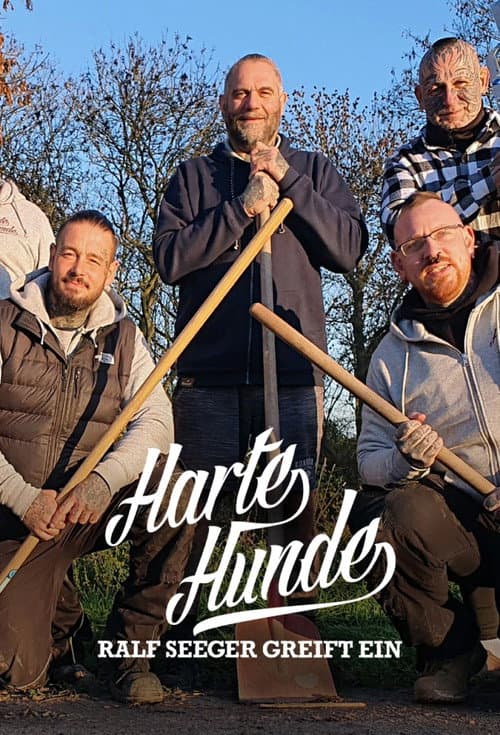 Harte Hunde – Ralf Seeger greift ein (2014) poster