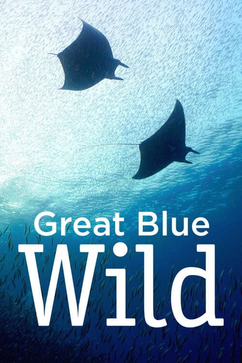 Great Blue Wild (2015) poster
