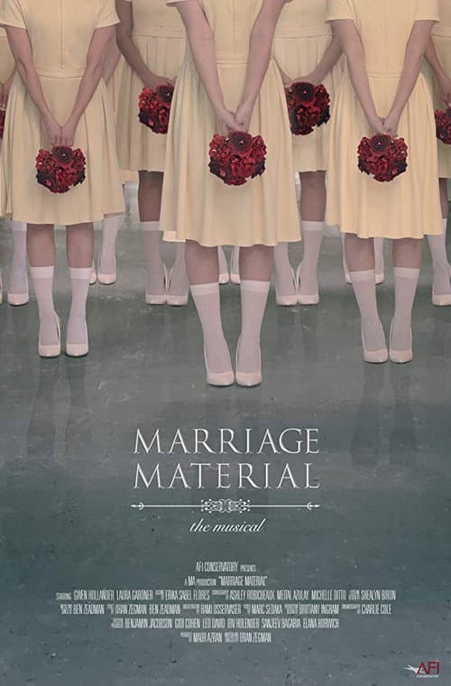Marriage Material (2018) poster
