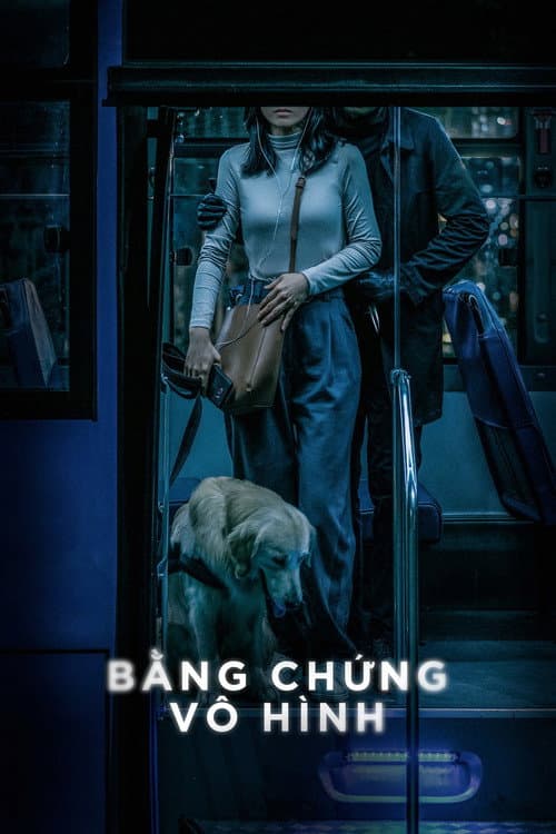 Invisible Evidence (2020) poster