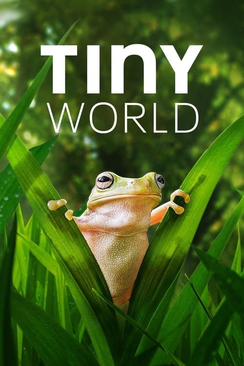 Tiny World (2020) poster