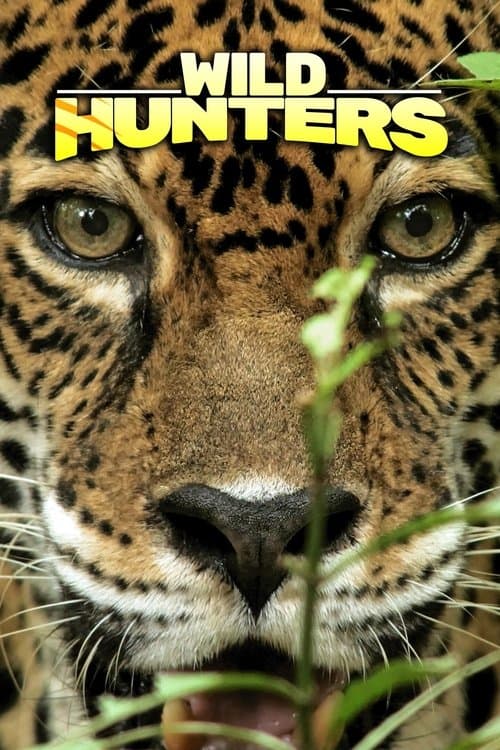 Wild Hunters (2019) poster