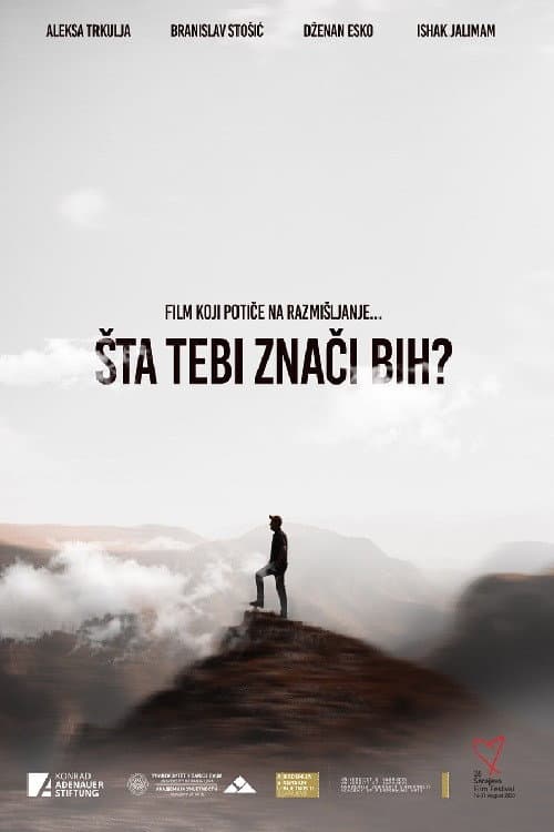What Does Bosnia Mean to You? (2020) poster