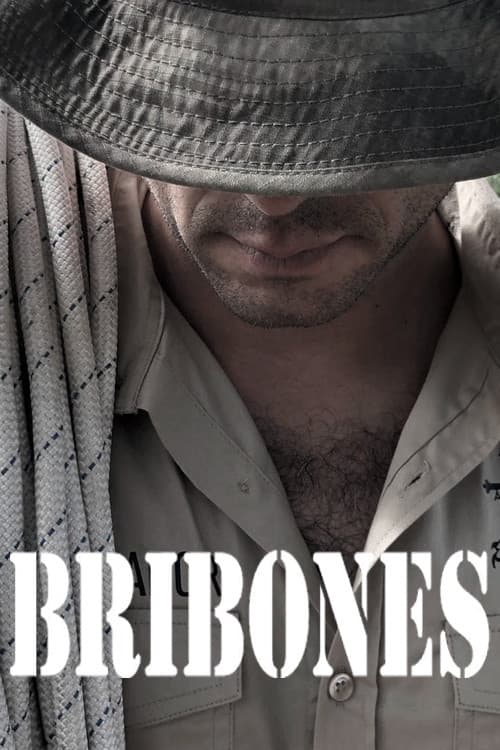 Bribones, en el corazón de la aventura (2024) poster