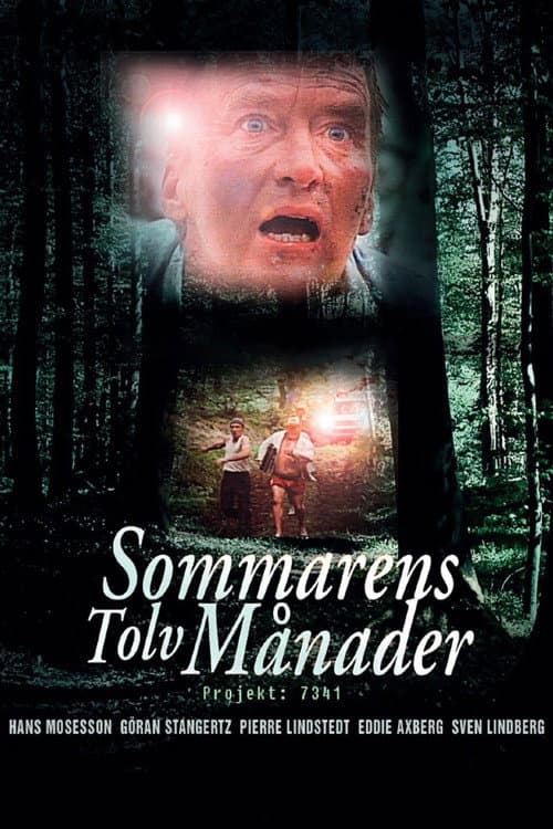 The Twelve Months of the Summer (1988) poster