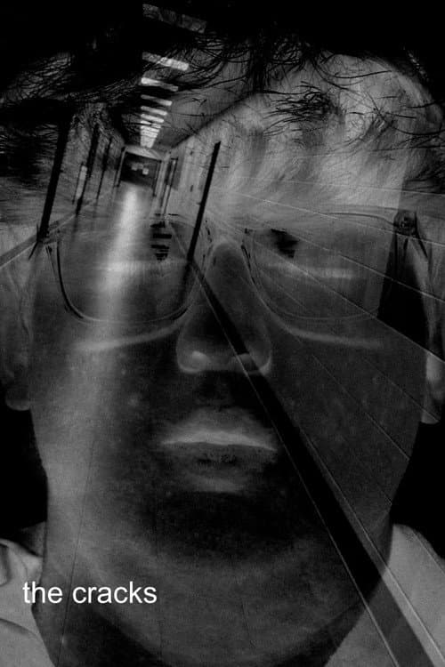 The Cracks poster