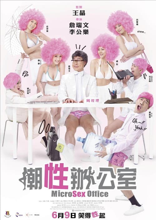 MicroSex Office (2011) poster
