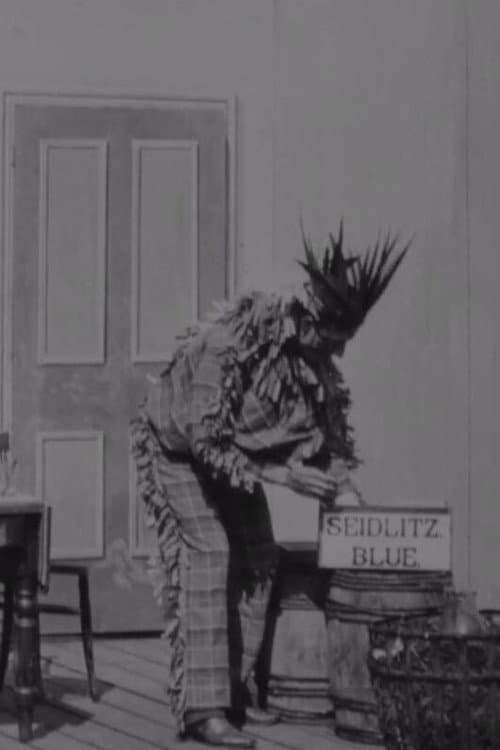 The Indian Chief and the Seidlitz Powder (1901) poster