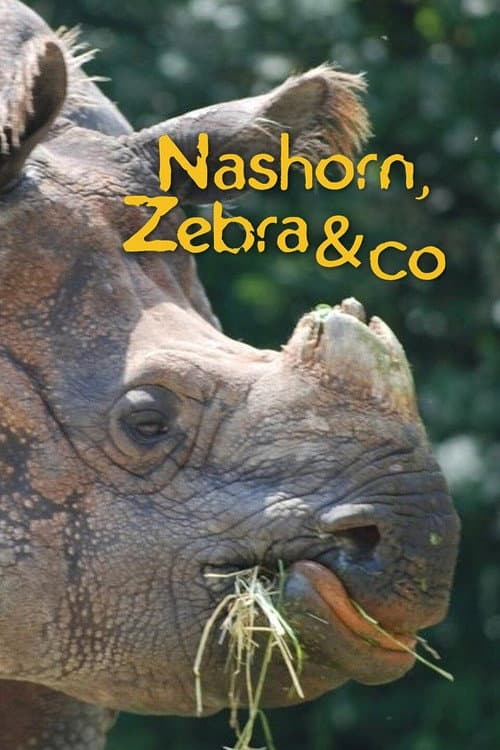 Nashorn, Zebra & Co. (2007) poster
