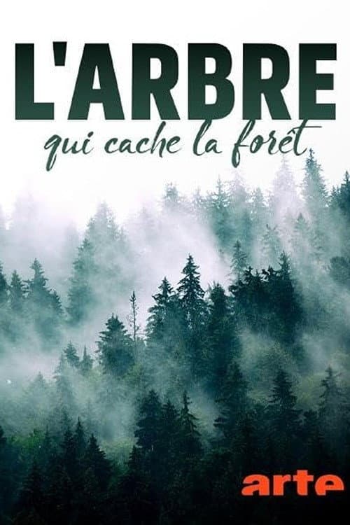Of Trees and Forests: The Invisible World (2024) poster