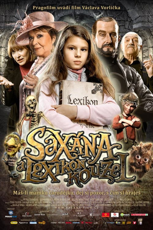 Little Witch on a Broomstick (2011) poster